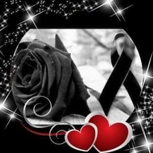 Meet your Posher, Nicky